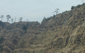 कैलालीको भासु भिरमा मिनी ट्रक खस्यो